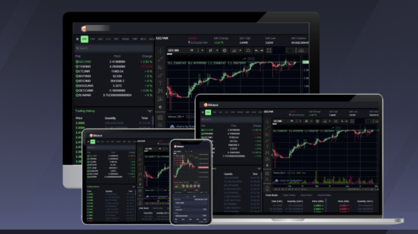 Script de Clon de Binance NULO